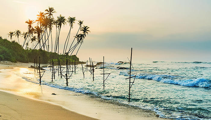 Fishing stilts in the southern waters