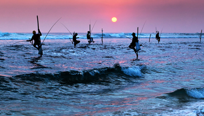 Traditional fishing technique in Sri Lanka called stilt fishing