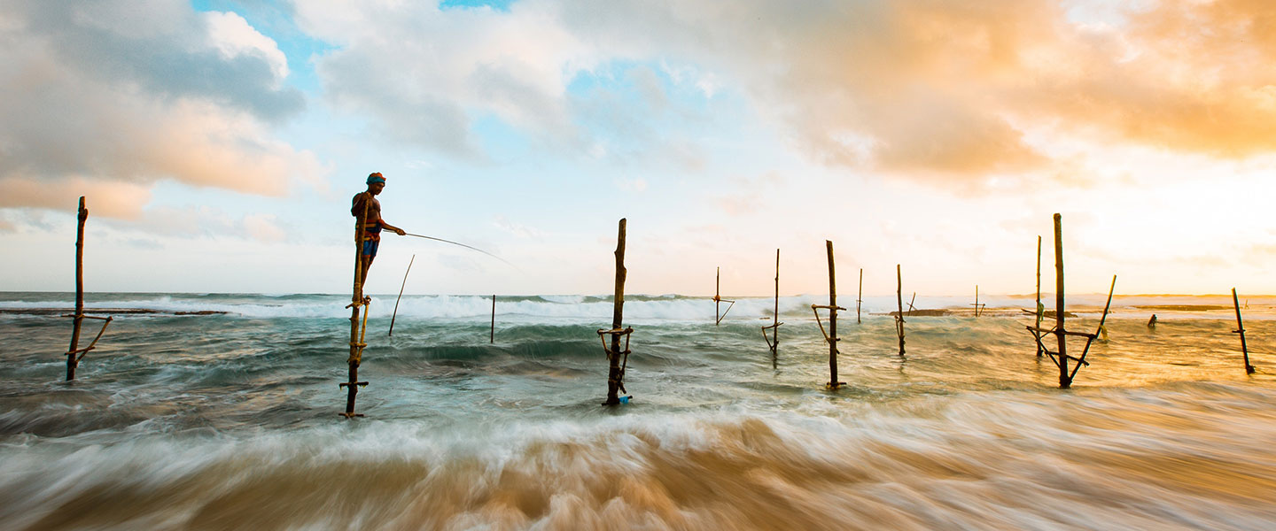 Fishermen on stilts harvesting fish