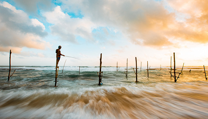 Fishermen on stilts harvesting fish