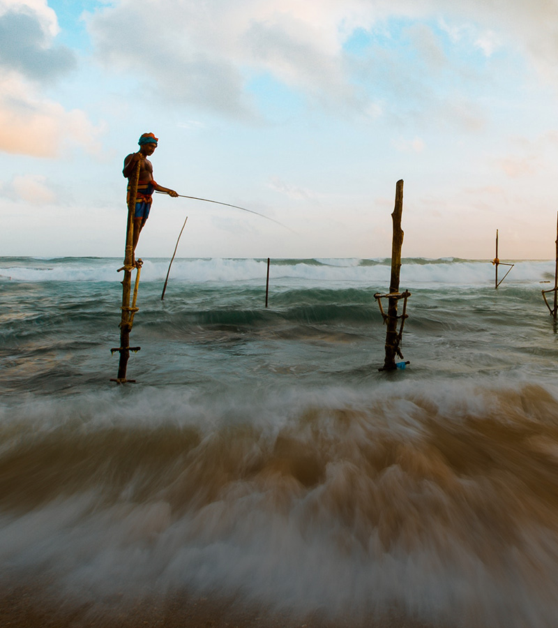 Fishermen on stilts harvesting fish