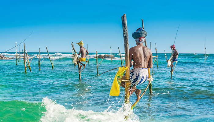 Fishermen on fishing stilts in Weligama, Sri Lanka