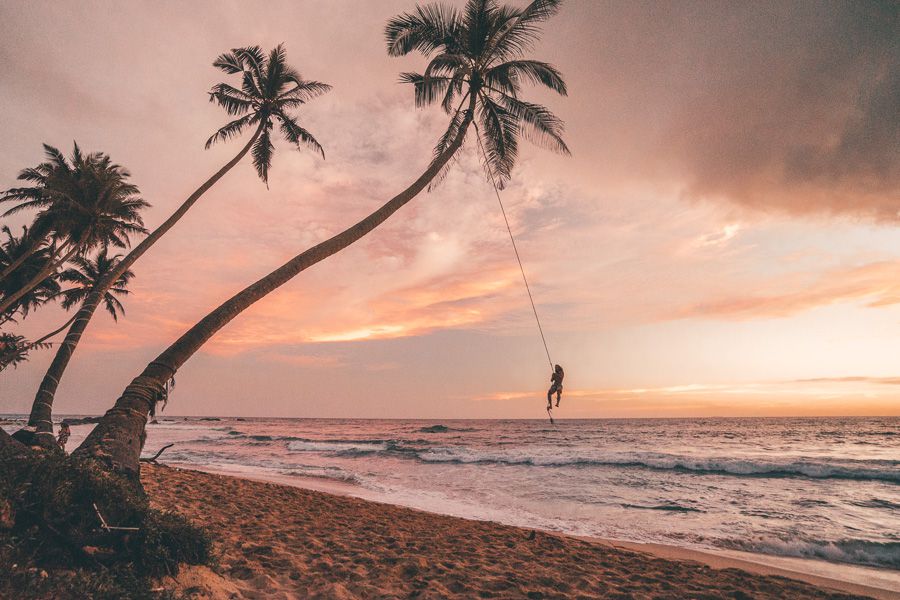 Palm Tree Rope Swing at Dalawella Beach, Sri Lanka during sunset | Photo credit: Journey Era